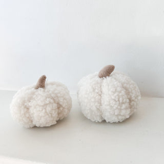 Citrouille fluffy blanc