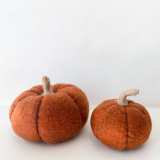 Citrouille tissu Orange