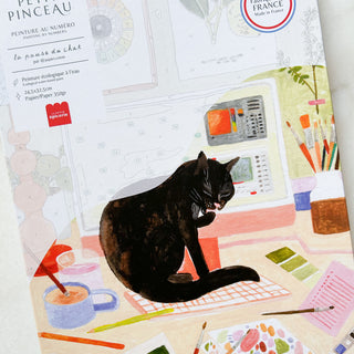 Peinture numérotée - La pause du chat