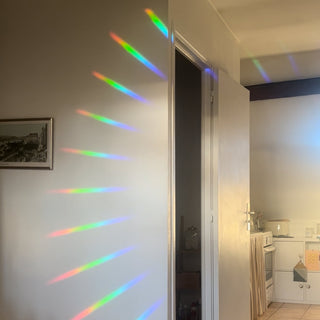 Rainbow Suncatcher Bloom