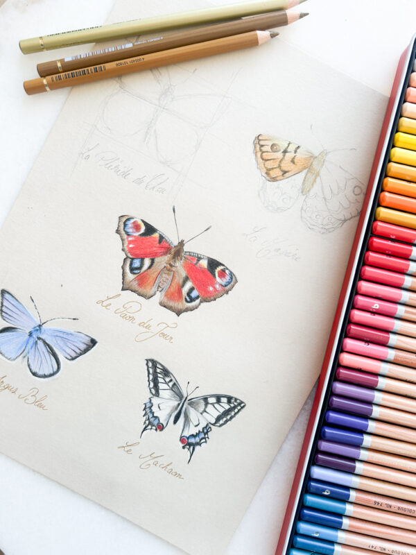 Atelier de dessin aux crayons de couleurs - Papillons - Mercredi 19 Juin 2024 3