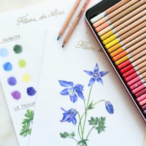 Atelier de dessin aux crayons de couleurs - Planche botanique -